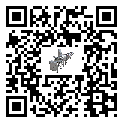 KWG系列分選秤